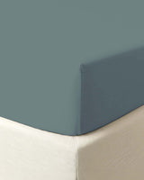 FITTED BOTTOM SHEET